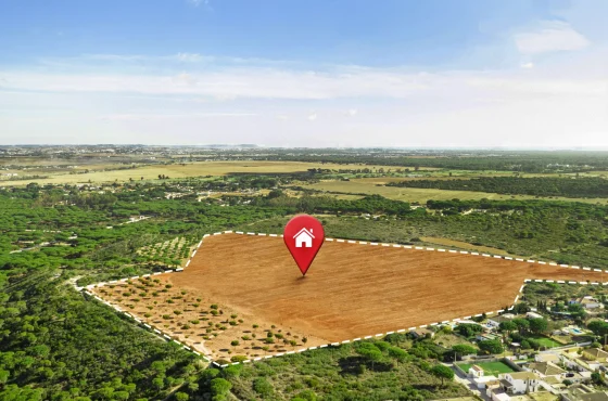 Residential Plot in Behror Neemrana: Understanding the Development Potential
